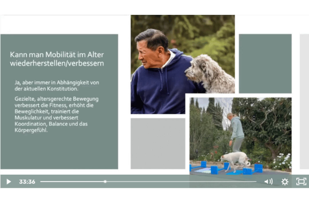 ArthroseFIT,Hund,Arthrose