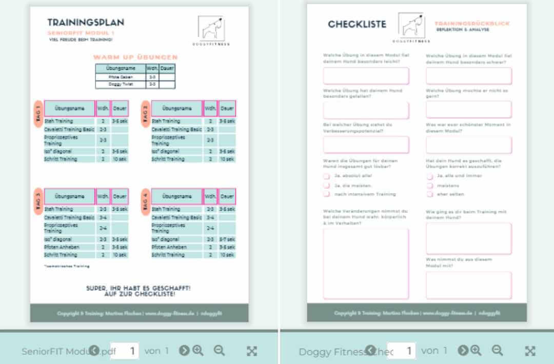 martina flocken - doggy fitness - hundephysio - hundefitness – Trainingsplan und Checkliste aus dem SeniorFIT Onlinekurs für seniorengerechtes Fitnesstraining für Hunde