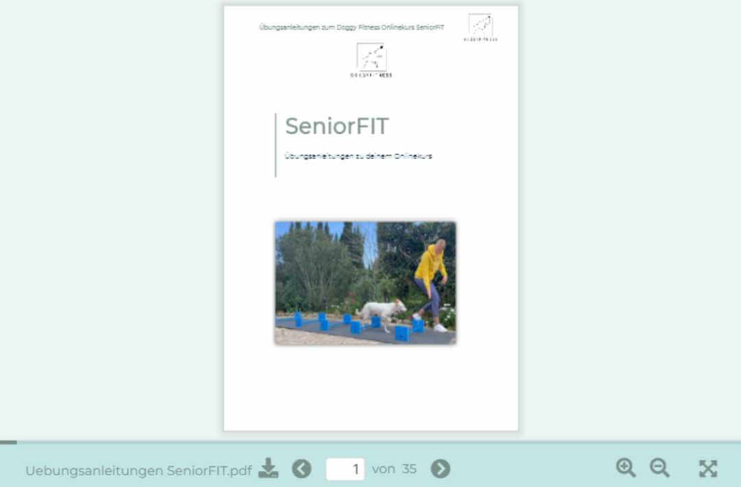 martina flocken - doggy fitness - hundephysio - hundefitness – Titelbild der Übungsanleitungen im SeniorFIT Onlinekurs mit Mensch-Hund-Training an Cavaletti-Hindernissen – seniorengerechtes Fitnesstraining für Hunde