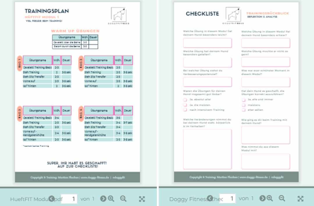 martina flocken - doggy fitness - hundephysio - hundefitness – Trainingsplan und Reflexions-Checkliste aus dem HüftFIT Onlinekurs für gezieltes Fitnesstraining für Hunde mit Hüftbeschwerden