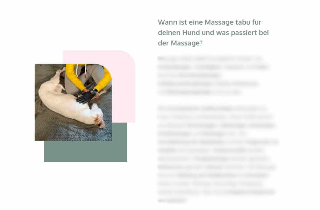 martina flocken - doggy fitness - hundephysio - hundefitness – Massage mit Handschuh am Hund, Teil des Basiswissens im Entspannt & Glücklich Massagekurs für Hunde