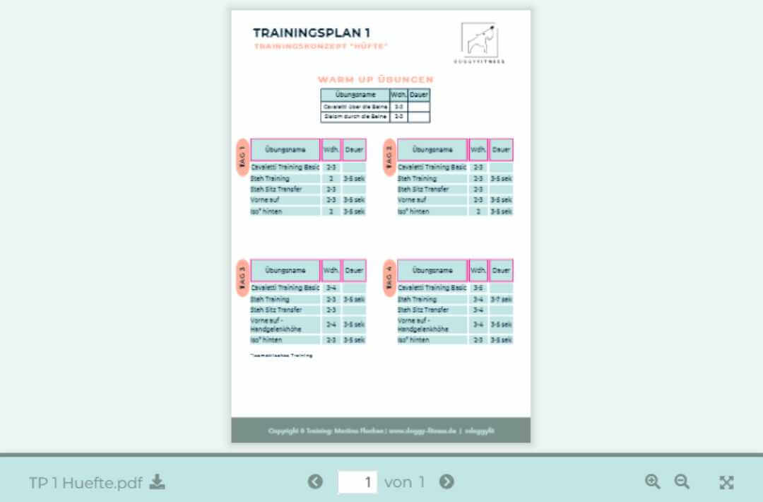 martina flocken - doggy fitness - hundephysio - hundefitness - expertfit online kurs für hundefitness für tiertherapeuten - kursinhalt trainingsplan