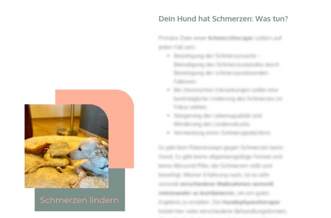 martina flocken - hundephysio - hundefitness - gratis online kurs - schmerzen beim hund erkennen - kursinhalt