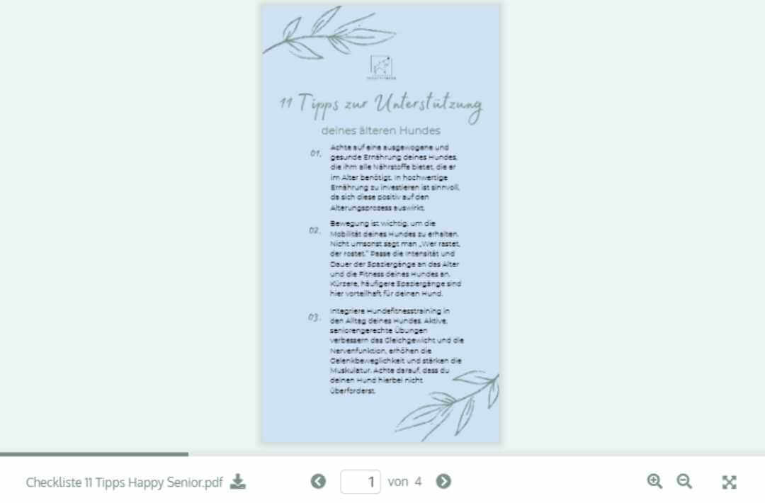 doggy fitness - martina flocken - hundefitness - hundephysio - 11 tipps - happysenior gratis online kurs für fitnesstraining für seniorhunde