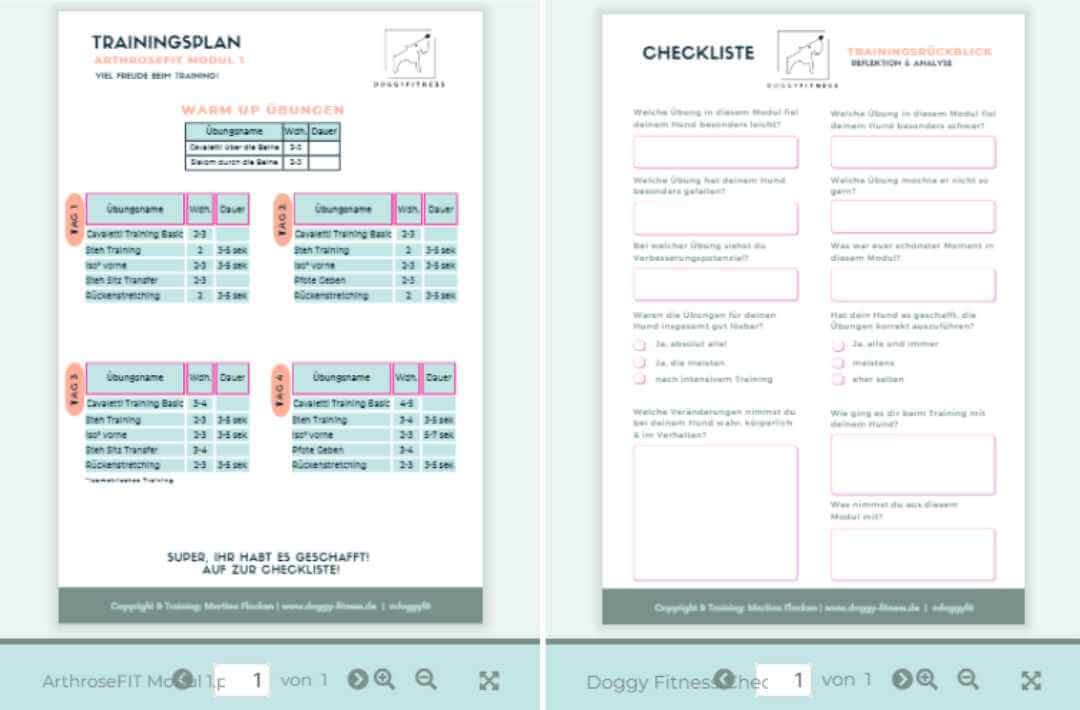 trainingsplan-checkliste-arthrosefit