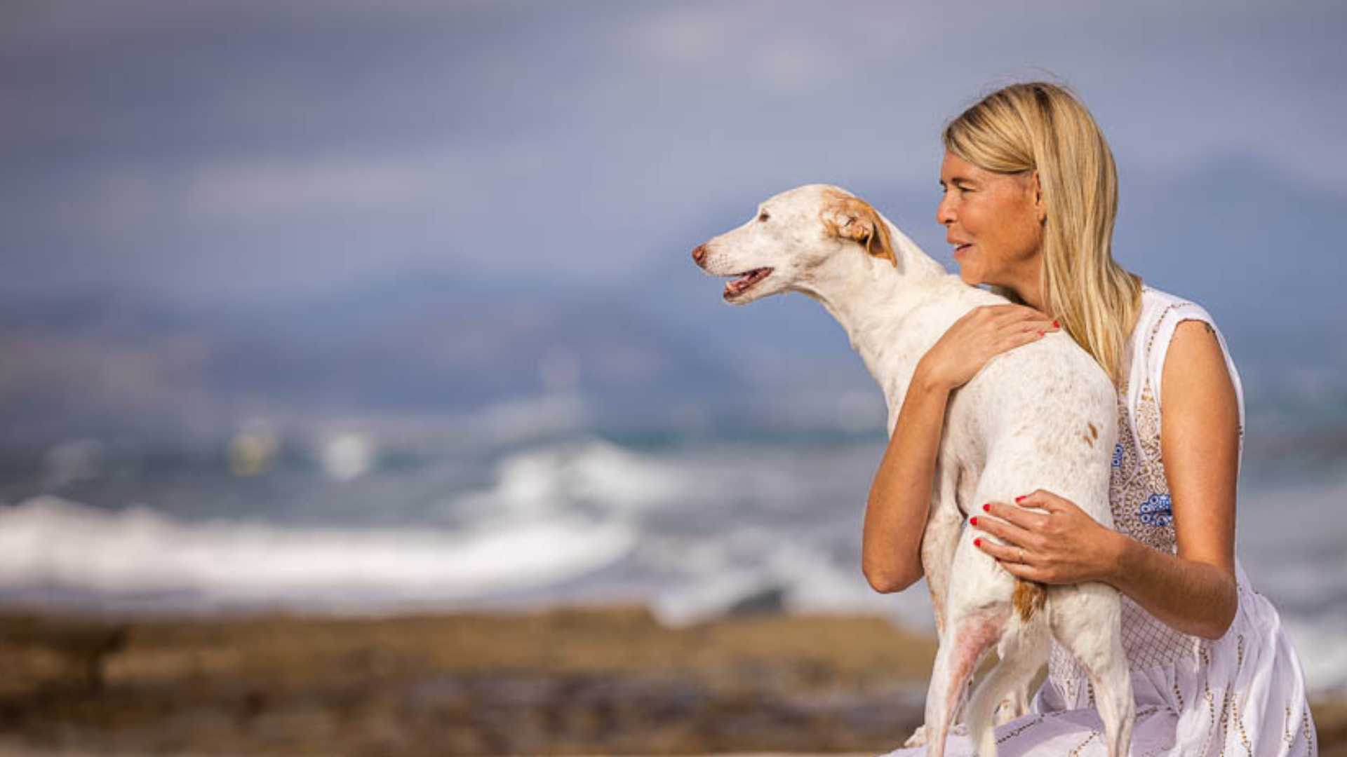 doggy fitness - martina flocken - hundefitness - hundephysio - martina mit tessa