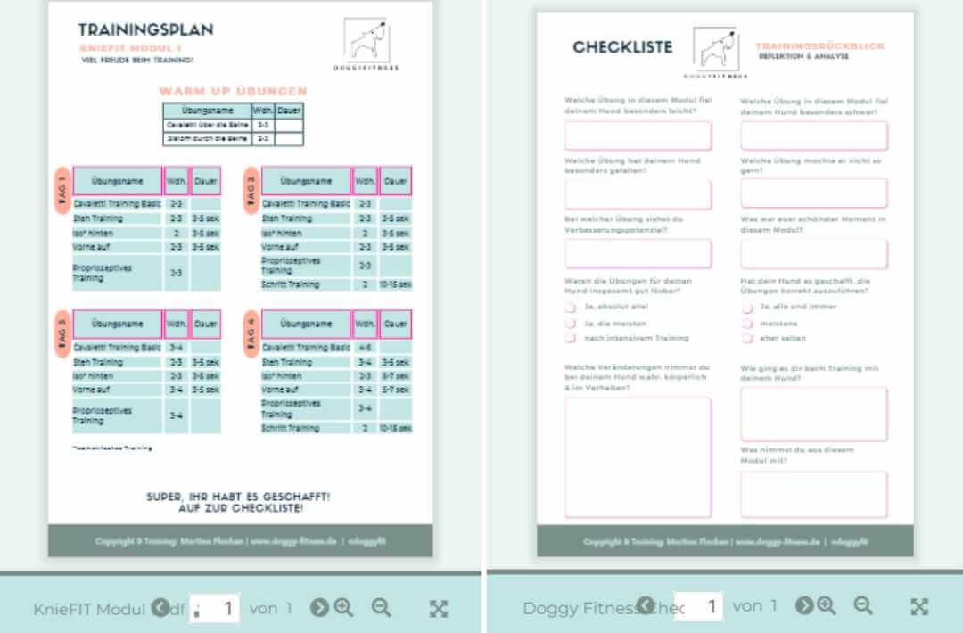 doggy fitness - martina flocken - hundefitness - hundephysio - trainingsplan und checkliste kniefit