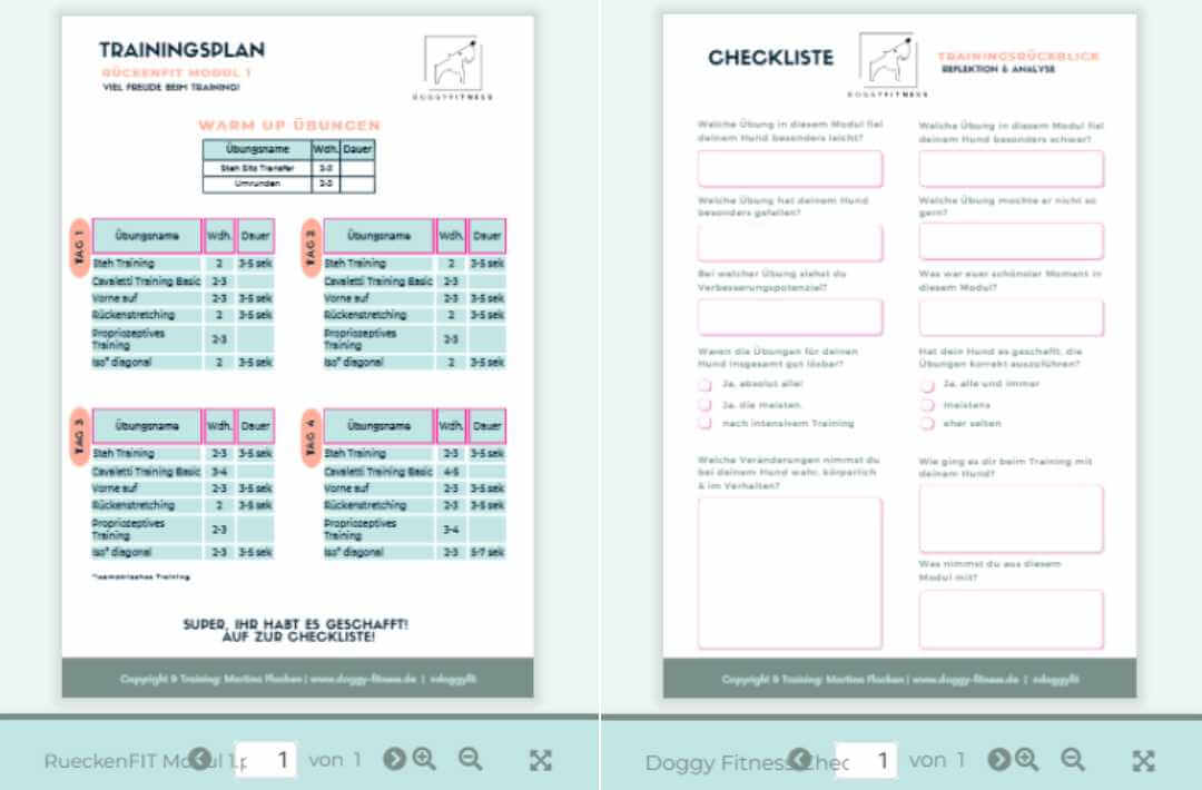 doggy fitness - martina flocken - hundefitness - hundephysio - rückenfit online kurs für fitnesstraining für hunde mit rückenerkrankungen - Übungsanleitungen