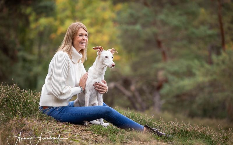 das zusammenleben mit einem seniorhund eine emotionale reise & was du tun kannst