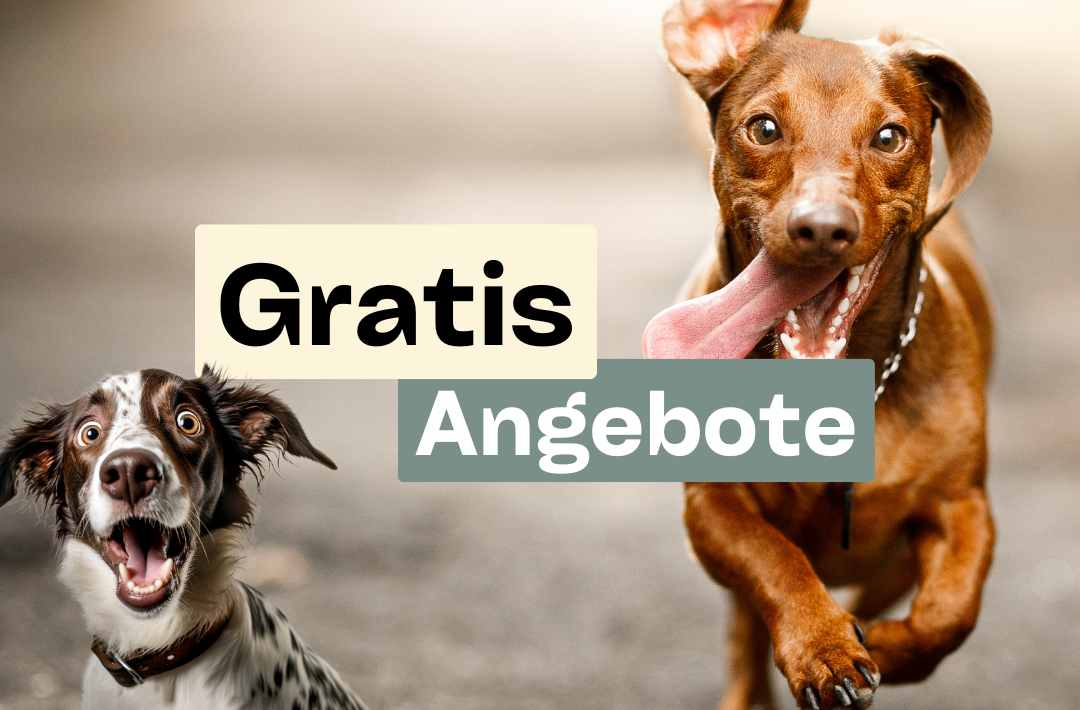 gratis angebote