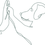 martina flocken - hundefitness - hundephysio - hund mit mensch geben sich high five