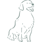 martina flocken - hundefitness - hundephysio - hund sitzt und ist glücklich