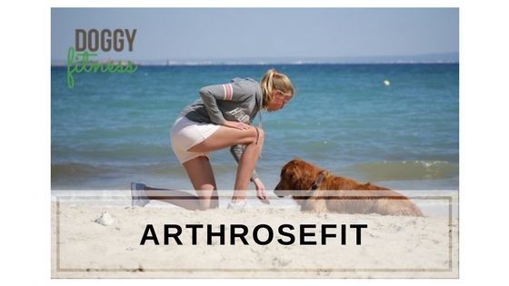 Arthrose Fit Online Video Kurs aktive Übungen für deinen Hund bei Arthrose für mehr Beweglichkeit und bessere Muskulatur
