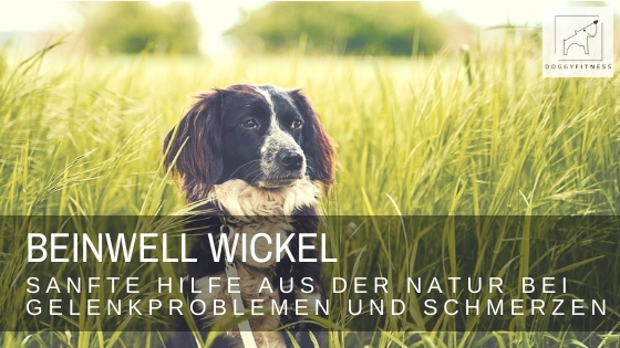 Beinwell Wickel  – sanfte Hilfe aus der Natur bei Gelenkproblemen & Schmerzen