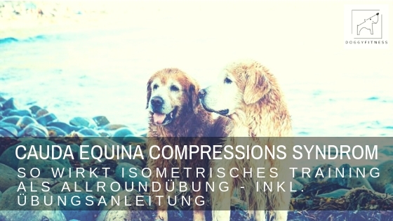 Cauda Equina Compressions Syndrom Isometrie als Allroundübung