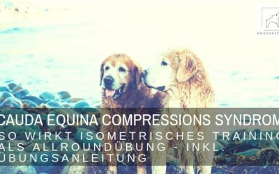 Cauda Equina Compressions Syndrom – Isometrie als Allroundübung