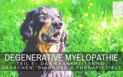 Degenerative Myelopathie Teil I – das Krankheitsbild, Ursachen, Diagnose & Therapieziele