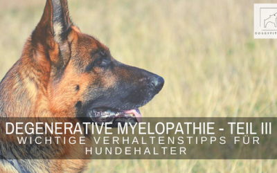 Degenerative Myelopathie – Verhaltenstipps Teil III der Blogreihe