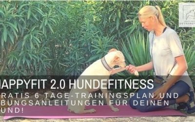 HAPPYFIT 2.0 Hundefitness – gratis 6 Tage-Trainingsplan und Übungsanleitungen für deinen Hund!