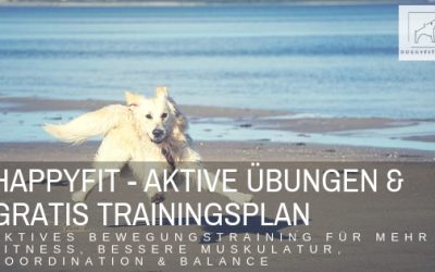 HAPPYFIT – aktives Bewegungstraining für die Fitness deines Hundes – inkl. Trainingsplan!
