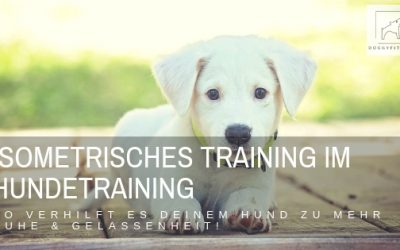 Gastbeitrag: Isometrisches Training im Hundetraining bzw. im Verhaltenstraining