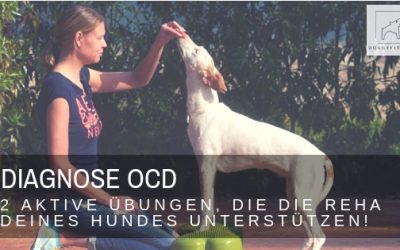 Diagnose OCD – zwei Übungen, die die Reha unterstützen