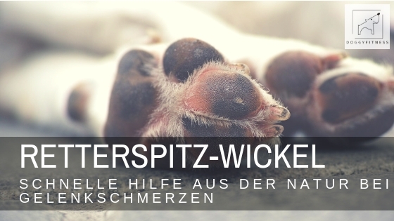 Retterspitz – Wickel  – schneller Helfer gegen Gelenkschmerzen beim Hund
