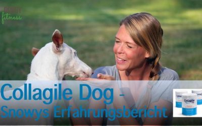 Kollagenpeptide für den Hund – Unsere Erfahrung mit Collagile Dog