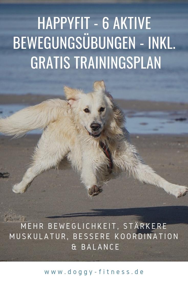 Happyfit gratis Trainingsplan - Übungsanleitungen aktives Bewegungstraining für Hunde Cavaletti, Balancetraining, Muskelaufbau