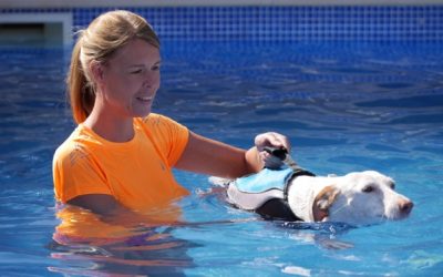 Schwimmweste – Sicherheit und Spaß im Wasser – Produkttest: Alcott Mariner