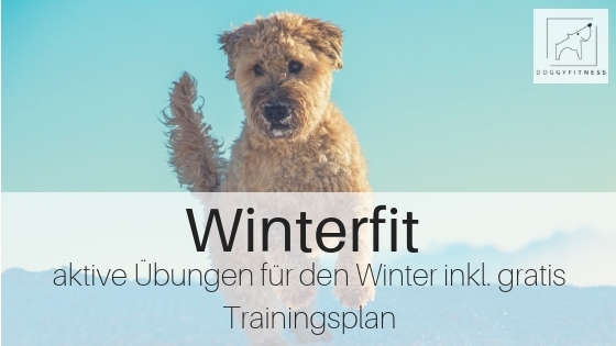 Gratis Winterfit Training aktive Übungen für deinen Hund