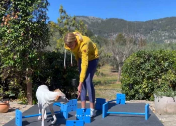 martina flocken - doggy fitness - hundephysio - hundefitness - hund läuft über blaue cavaletti-stangen während trainerin ihn anleitet im garten