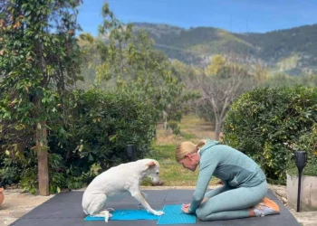 martina flocken - doggy fitness - hundephysio - hundefitness - sitz-platz-transfer training mit hund zur förderung von beweglichkeit, koordination und muskelaufbau auf trainingsmatte im garten