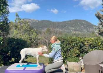 martina flocken - doggy fitness - hundephysio - hundefitness - isofit kurs isometrisches balance und stabilitätstraining mit hund auf airtrack matte unter anleitung von martina flocken im garten