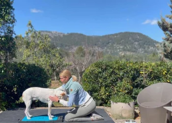 martina flocken - doggy fitness - hundephysio - hundefitness - isometrisches training mit hund im isofit kurs auf balancepad unter anleitung im garten