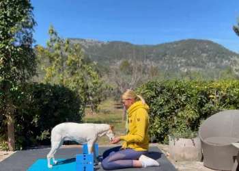 martina flocken - doggy fitness - hundephysio - hundefitness - stehtraining mit hund auf blauem balancepad