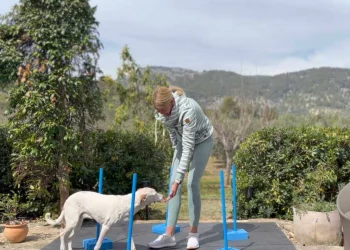martina flocken - doggy fitness - hundephysio - hundefitness - hundetraining im schnellfit kurs slalom übung mit hund im garten