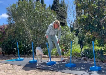 martina flocken - doggy fitness - hundephysio - hundefitness - cavaletti training hund – slalomtraining mit stangen im garten – fördert gleichgewicht, muskelaufbau und körperbewusstsein