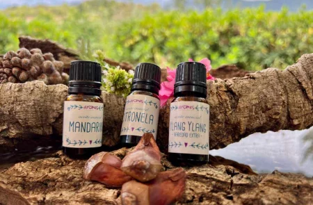 martina flocken - doggy fitness - hundephysio - hundefitness - aromaöle beim hund einsetzen - massage für hunde - online kurs - schmerzen lindern und verspannungen lösen hund