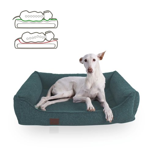 Doggyfit orthopädisches Hundebett Bella mit Easy Clean Bezug und 2 Komponenten Matratze