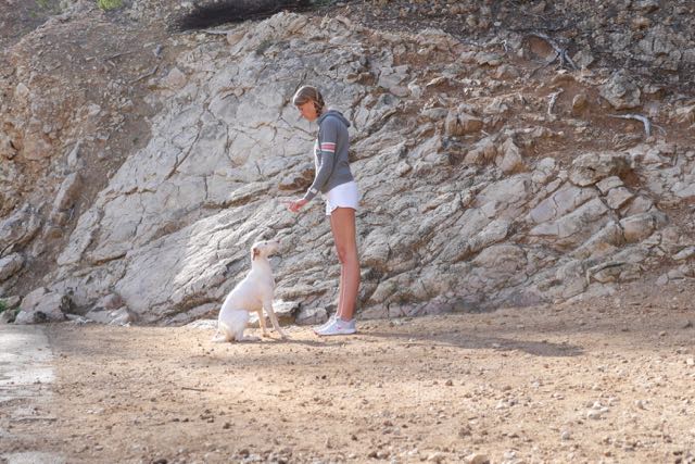 Übung Sitz Tessa Doggy Fitness Urlaub mit Hund