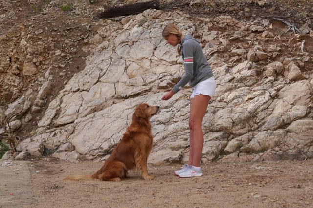 Übung Sitz Troy Doggy Fitness Urlaub mit Hund